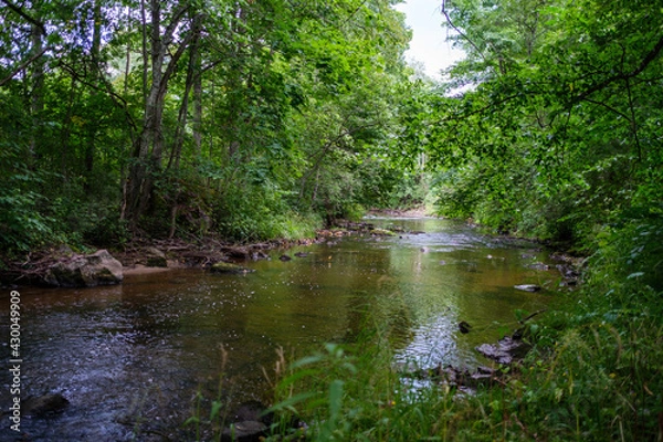 Fototapeta slow forest river in summer green woods with rocks in stream