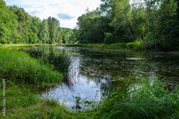 Fototapeta slow forest river in summer green woods with rocks in stream