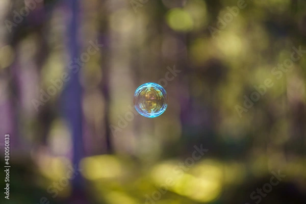 Fototapeta soap bubbles flying on blur background