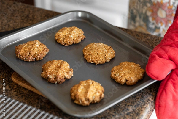 Fototapeta Freshly baked Anzac biscuits on baking tray.
