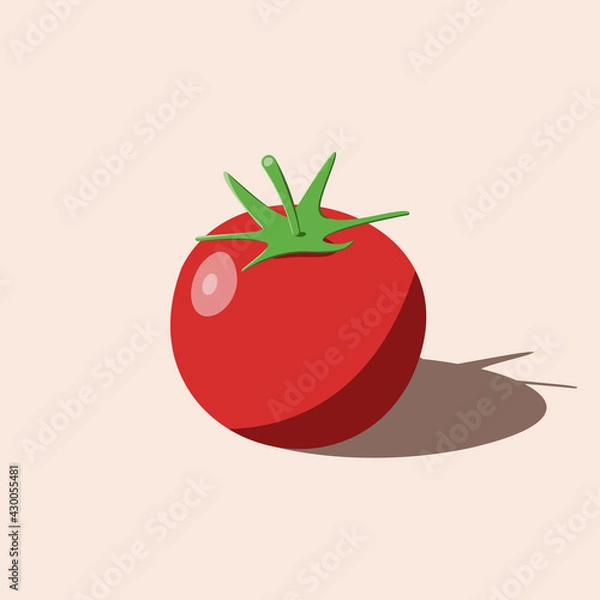 Fototapeta Tomato red color vector illustration
