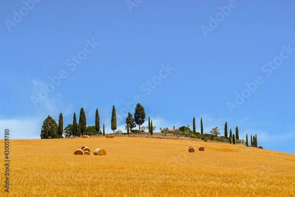 Obraz landscape with sky