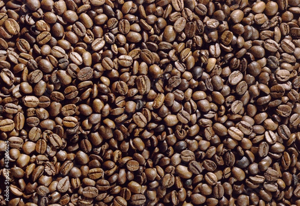 Obraz Kaffeebohnen