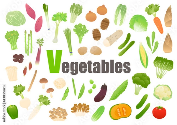 Obraz 野菜　ベクターイラストセット