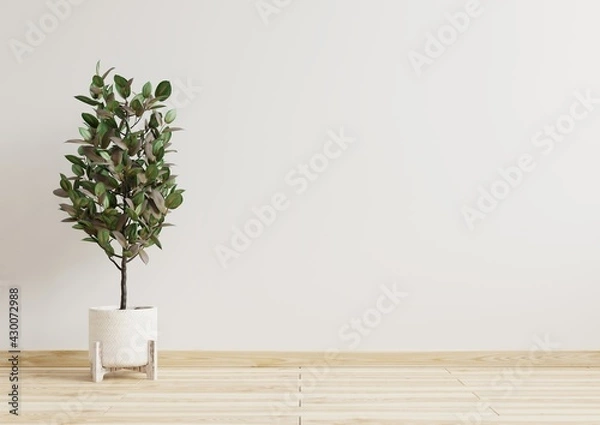 Obraz Empty room white walls with beautiful plants sideways on the floor.3d rendering.