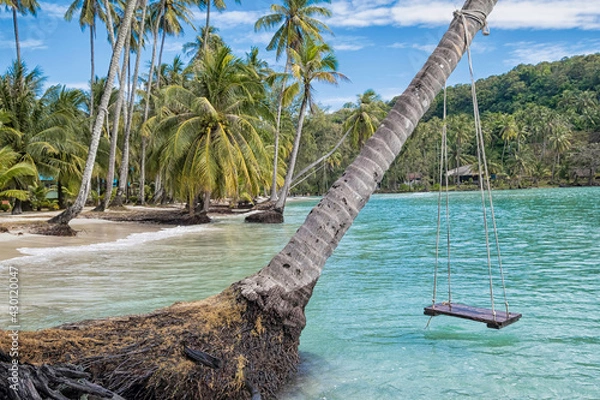 Obraz beach with swing and palm trees