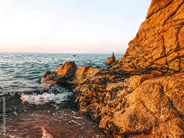 Obraz sunset on the beach