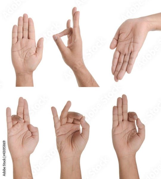 Obraz Hand gestures - Hindu / Buddhist - isolated on white - set 1