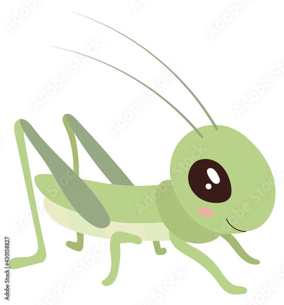 Obraz Grasshopper