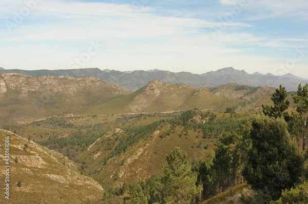 Fototapeta Rows upon rows of green valleys unfolding in the Outeniqua Mountains in the Western Cape