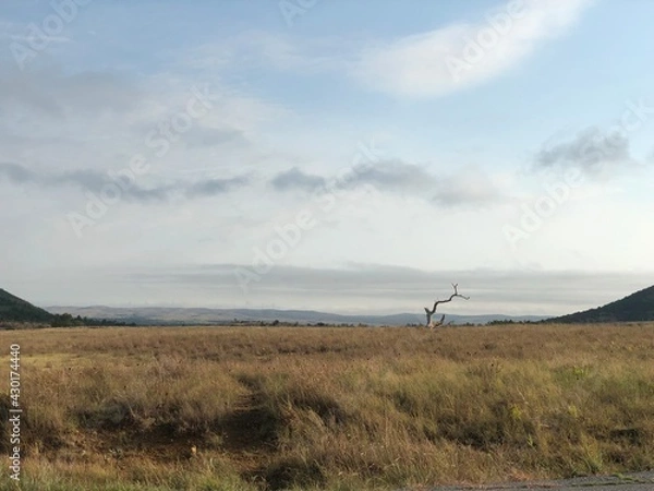 Fototapeta clouds over the field