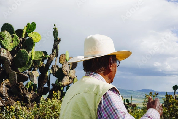 Obraz farmer in the field