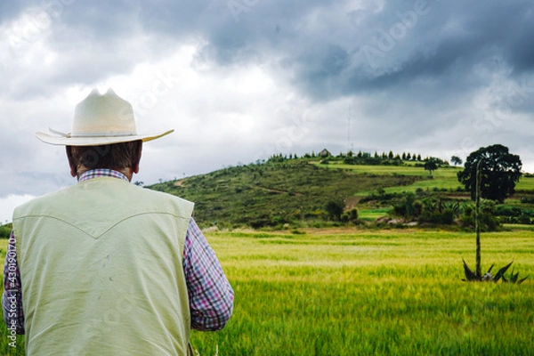 Fototapeta person in a field