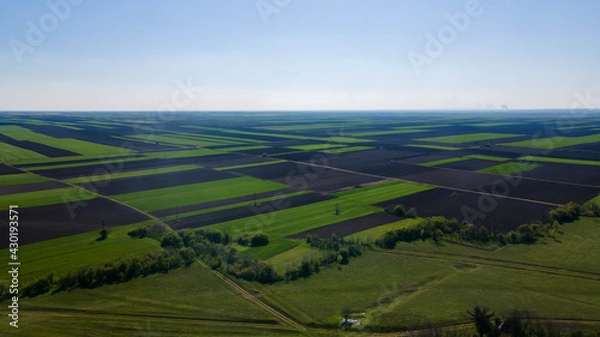 Fototapeta Abstract geometric shapes of agricultural parcels of different crops green colors. Aerial view shoot from drone directly above field