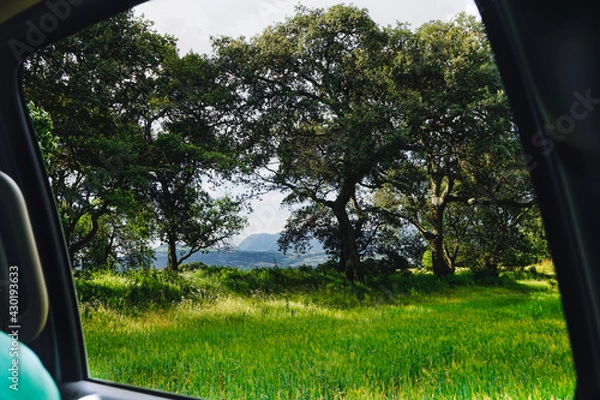 Obraz car in the forest