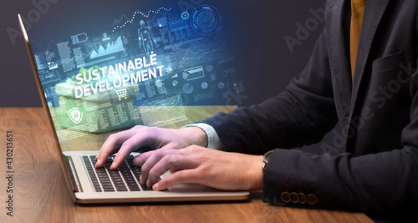 Fototapeta Businessman working on laptop concept