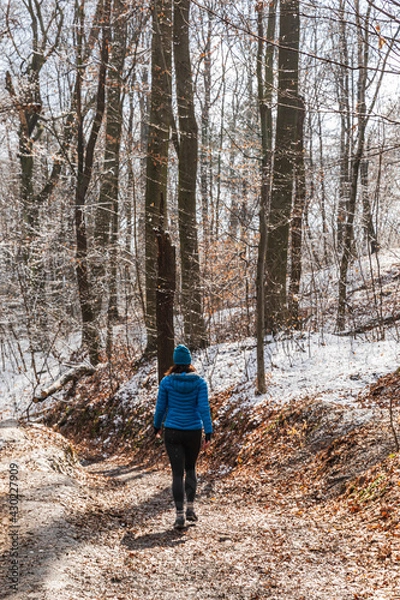Fototapeta Female woman hiking in winter forest with snow and autumn color leaves  