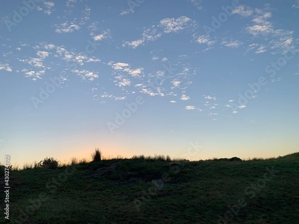 Obraz sunset in the field