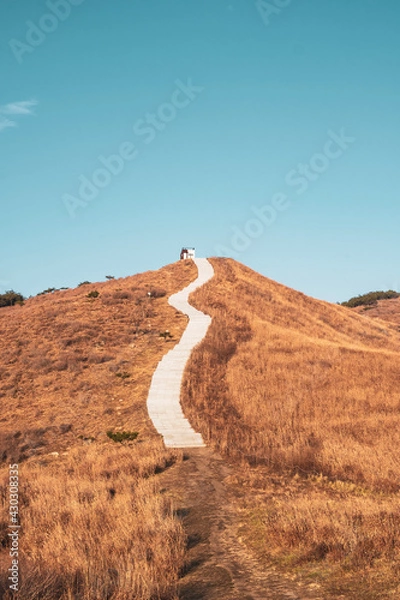Obraz road in the desert