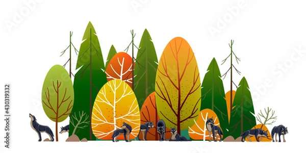Fototapeta Wolf pack in the forest. Timber wolves hunt. Landscape, Green trees park, alley and foliage in summer with animals. Row of trees and shrubs. Cartoon vector illustration isolated on white background