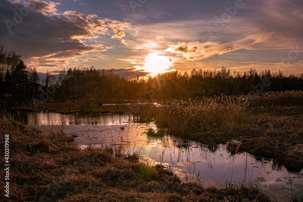 Obraz Evening spring sunset in nature