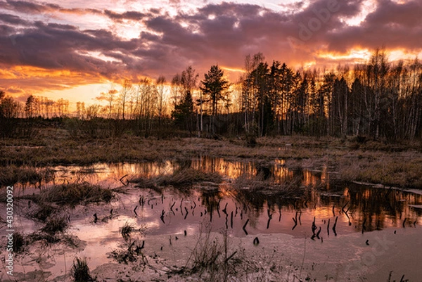 Obraz Evening spring sunset in nature