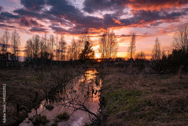 Obraz Evening spring sunset in nature