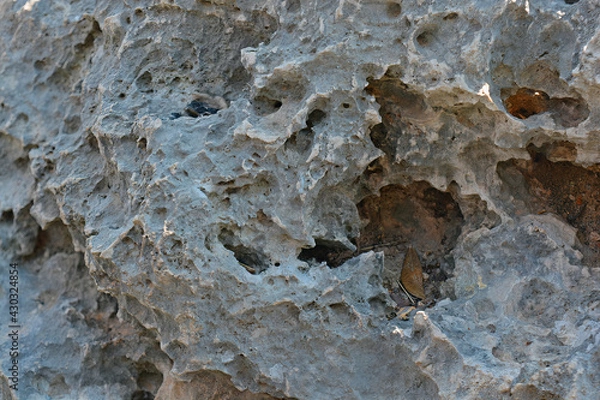 Obraz texture of rock