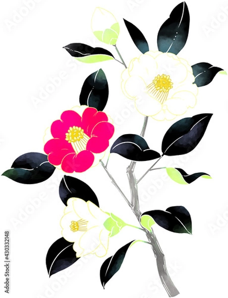 Obraz 椿　イラスト