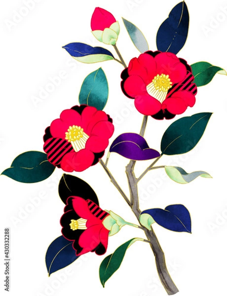 Obraz 椿　イラスト