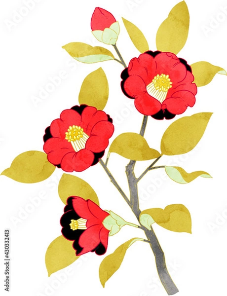 Obraz 椿　イラスト