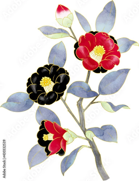 Obraz 椿　イラスト