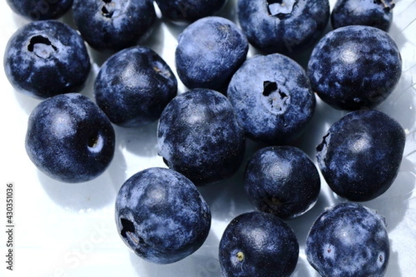 Obraz 紫色の新鮮で健康的なブルーベリーの果実
