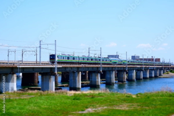 Fototapeta 相模川を渡る東京に向かう通勤電車