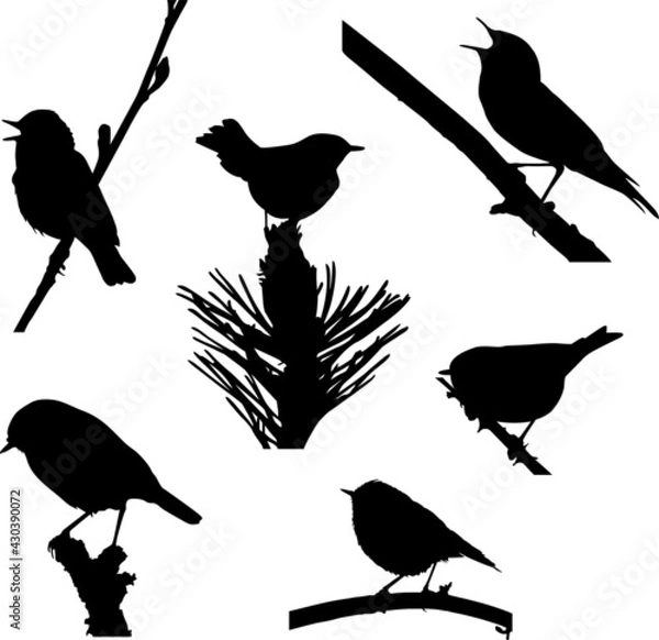 Obraz Leaf Warbler and Kinglet Bird Silhouette Illustrations