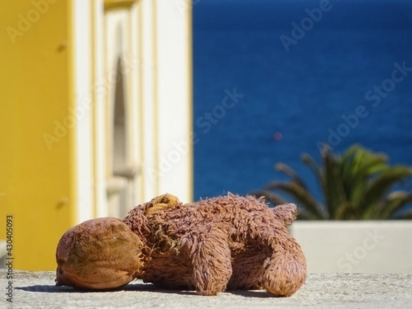 Obraz Toy left behind