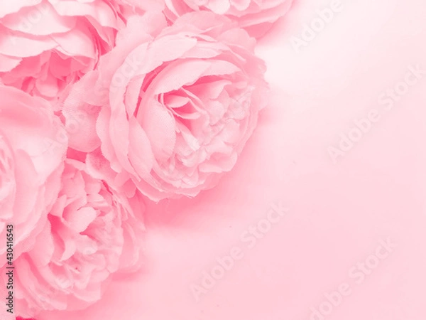 Fototapeta Beautiful abstract color red flowers on white background, light pink flower frame, pink leaves texture, gray background, valentines day, love theme, pink texture, white gradient
