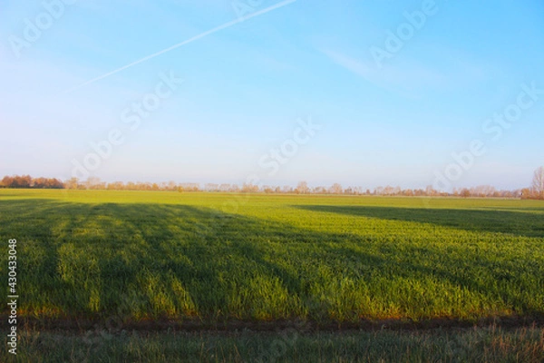 Obraz Landschaft Frühling