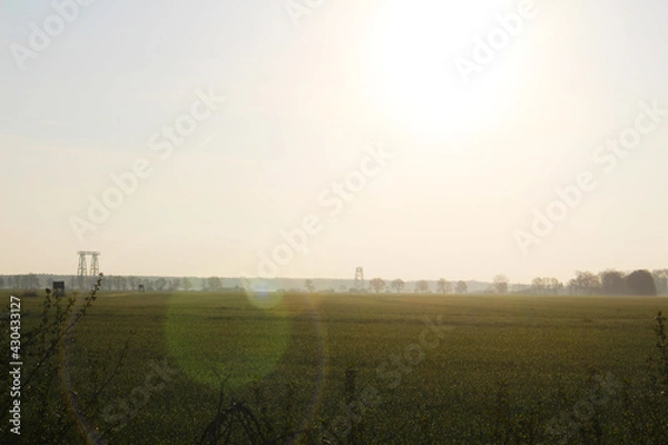 Obraz Landschaft Frühling