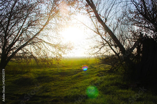 Obraz Landschaft Frühling