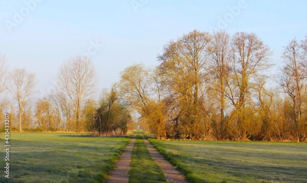Obraz Landschaft Frühling