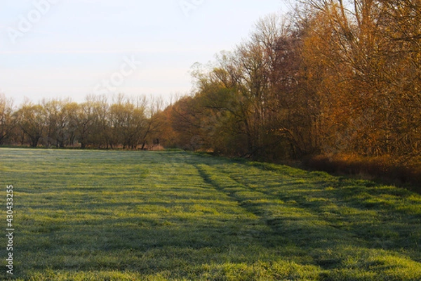 Obraz Landschaft Frühling