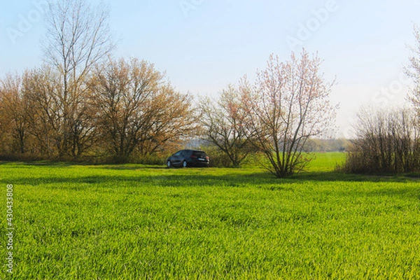 Obraz Landschaft Frühling