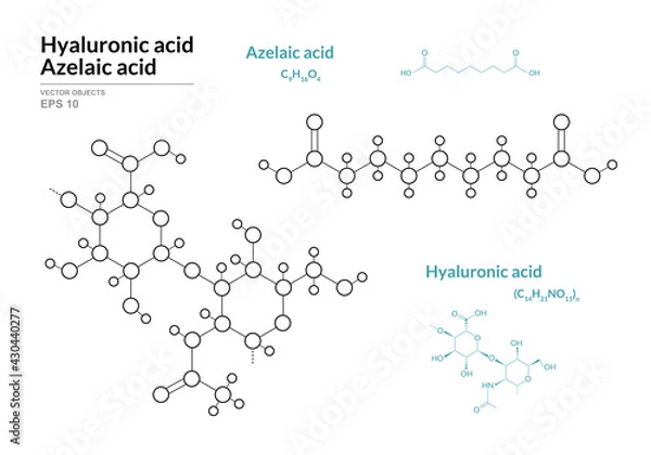 Fototapeta Azelaic and Hyaluronic acid. HA Hyaluronan. Structural Chemical Formula and Line Model of Molecule. Vector Illustration