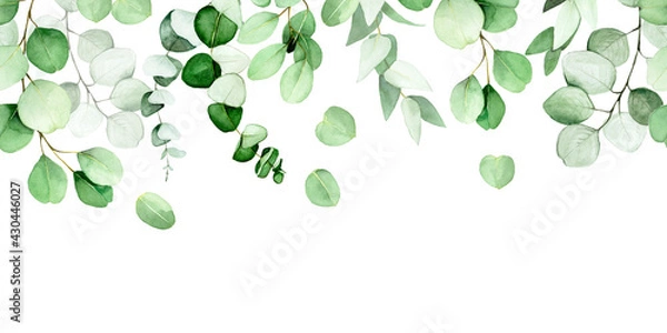 Obraz seamless border of leaves and branches of eucalyptus painted in watercolor. green eucalyptus leaves, tropical plant isolated on white background. web banner, frame, border. decoration for postcards