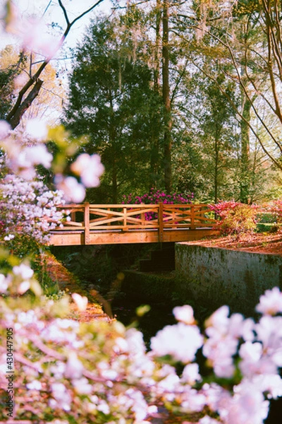 Obraz bridge the gap from spring to summer