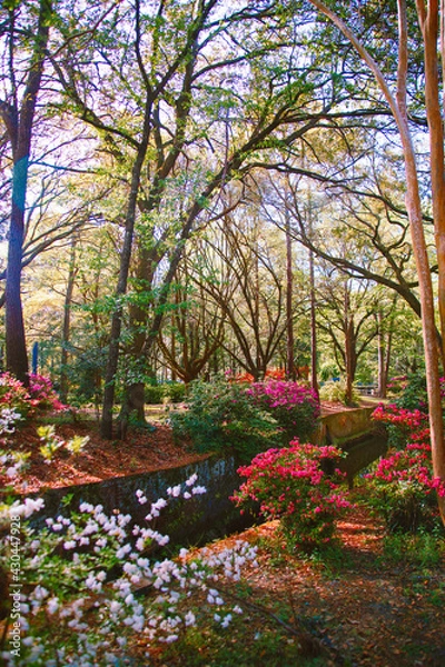 Obraz spring into summer