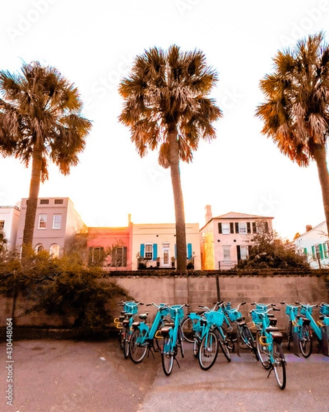 Obraz Rainbow row Charleston 