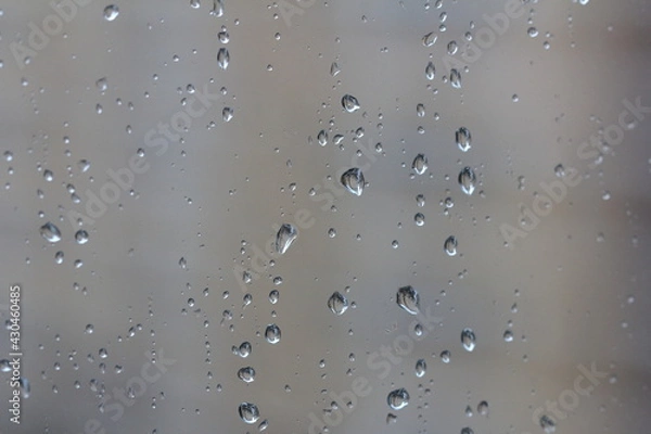 Fototapeta rain drops on window