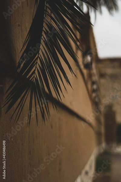 Obraz Palm trees next to lanterns
